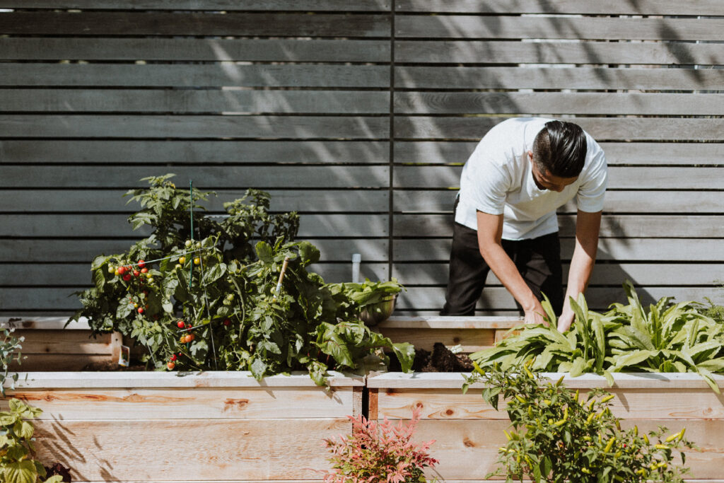 Man gardening